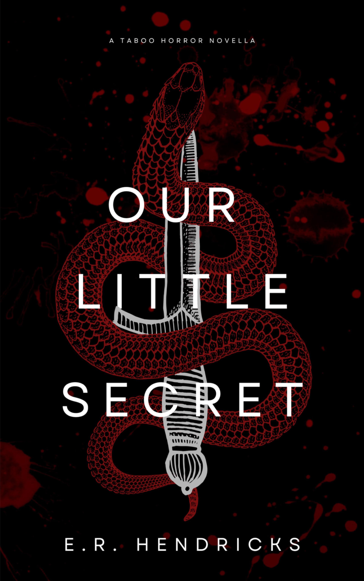 Our Little Secret cover